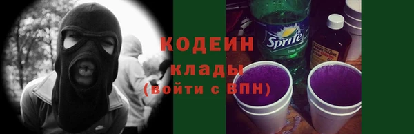 крисы Киренск